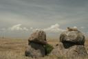 Cheetah enjoying the view in Gol kopjes