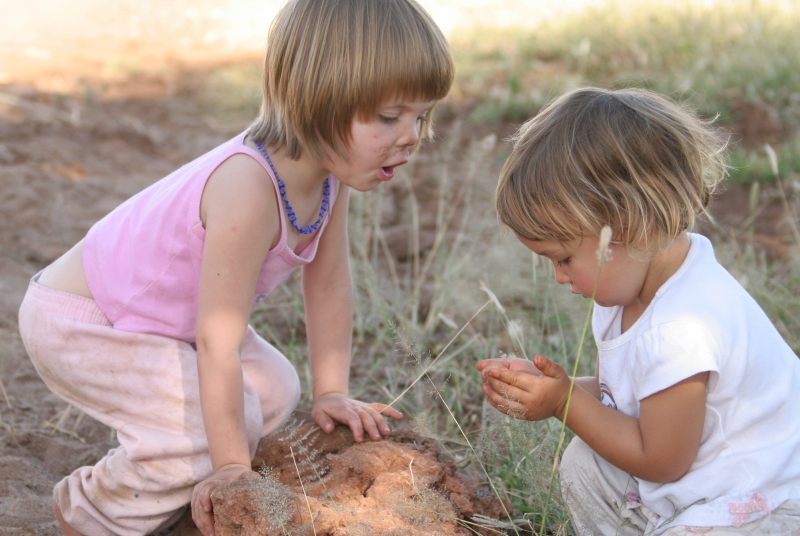 Jordy and Olly examining a termite colony