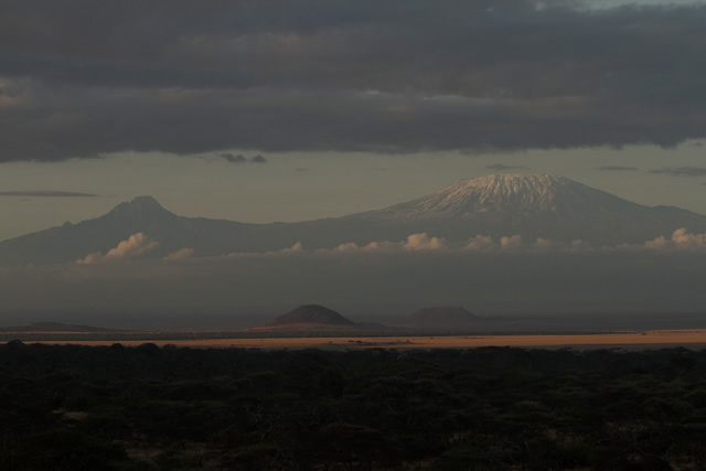 Kilimanjaro G 36