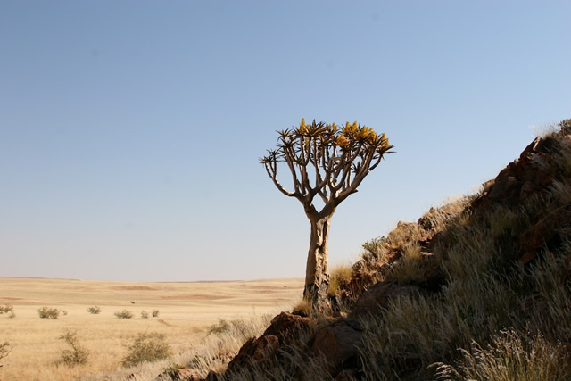 Namibia 14