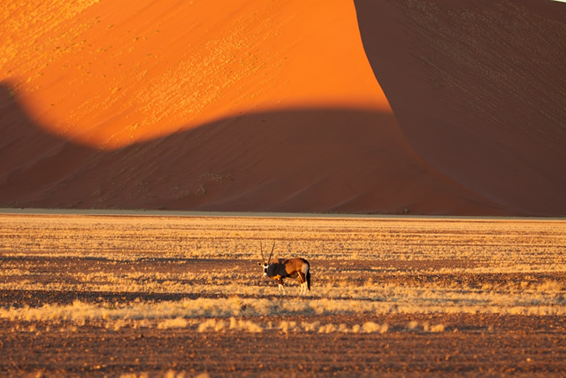 Namibia 18