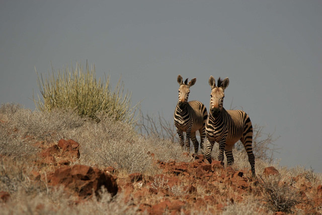 Namibia 3