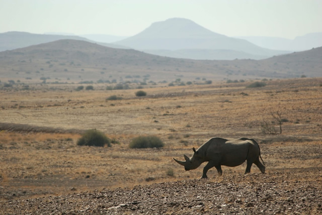 Namibia 4