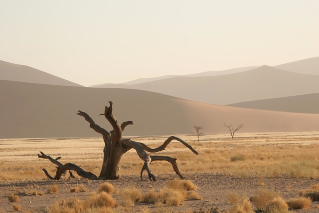 Namibia 5