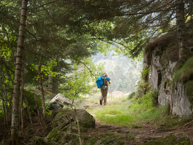 Pyrenees (60)