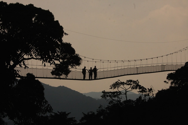Rwanda (15)