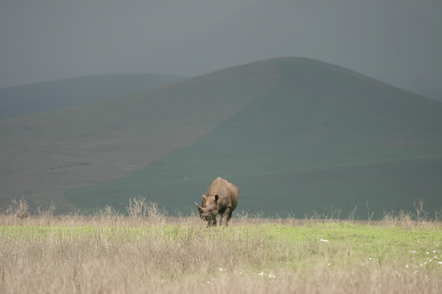 Tanzania 26
