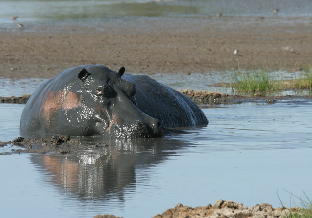 Tanzania 4