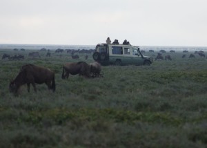 Driving through the Plains