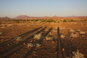 the Desert the Desert