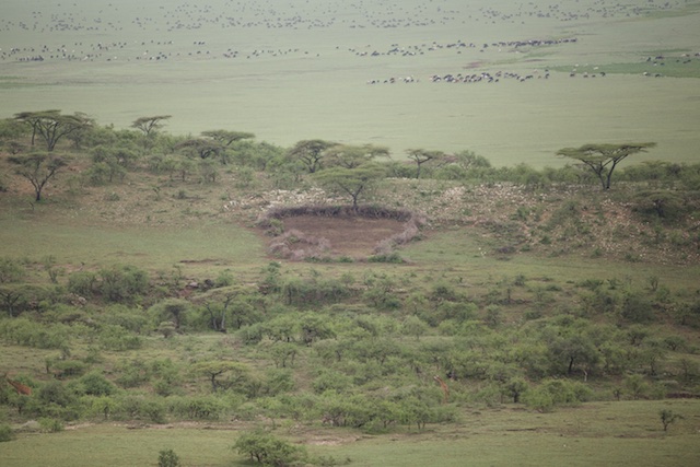 A Maasai boma