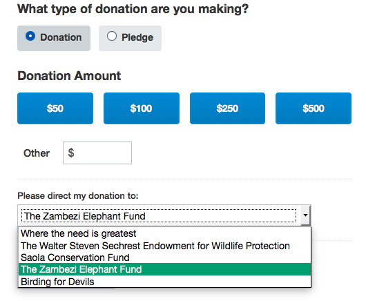 Tashinga Initiative donation