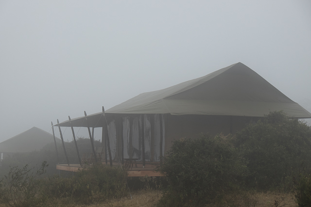Entamanu Camp on a misty morning 